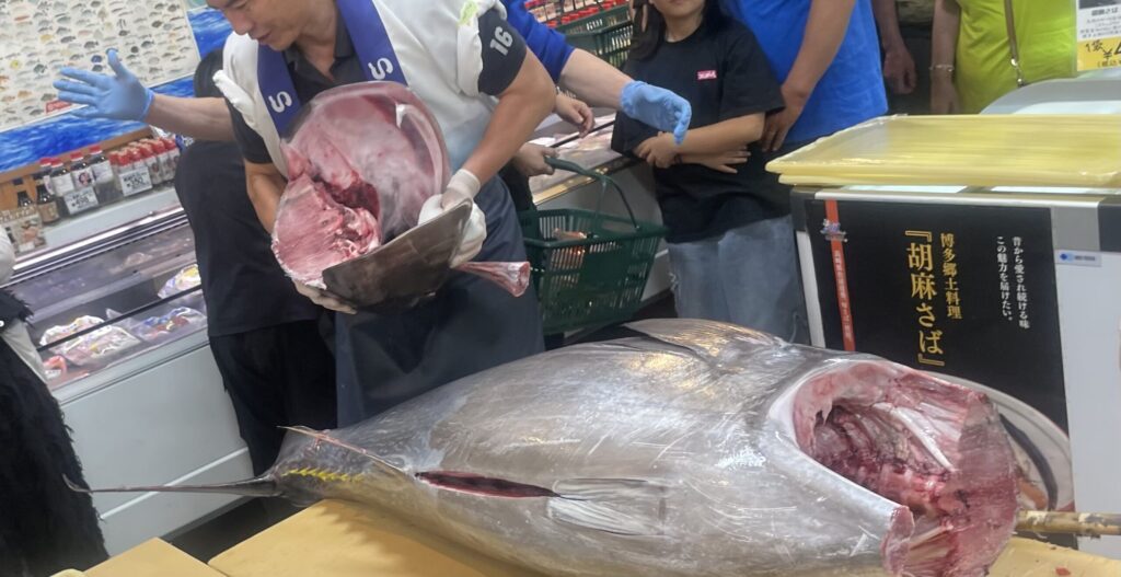 マグロの解体ショー　いきいき村