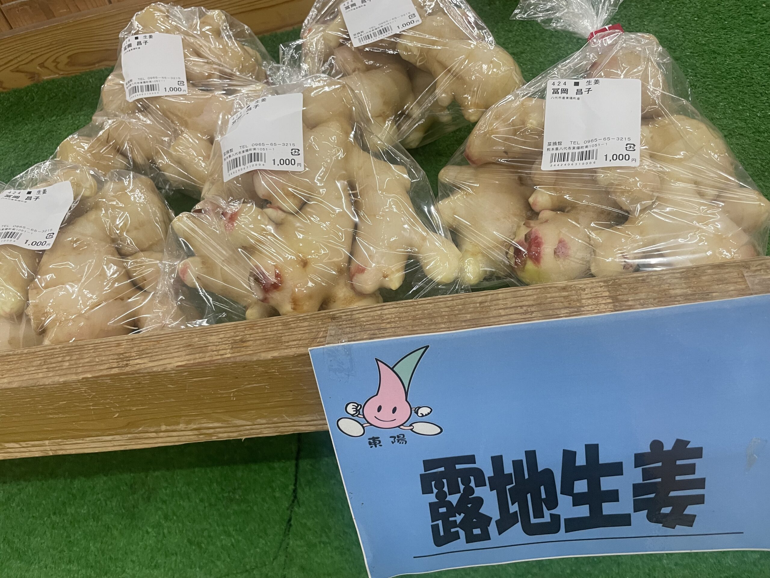 『道の駅 東陽（せせらぎ）』　新生姜が美味しい生姜の名産地！遊具や家族湯もありファミリーおススメの道の駅