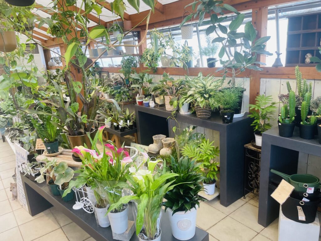 夢大地館　ガーデニングエリア