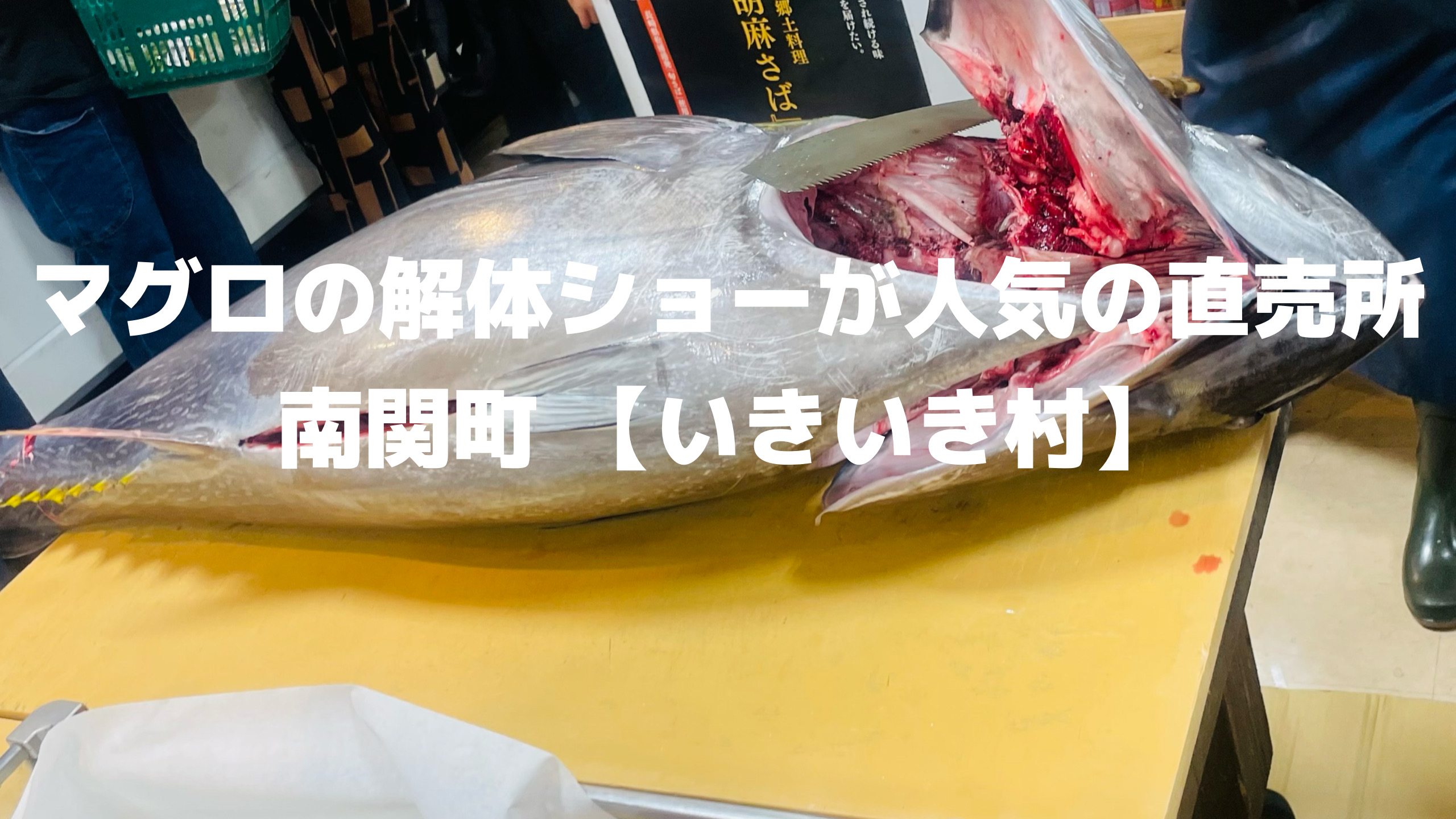 いきいき村　マグロの解体ショー