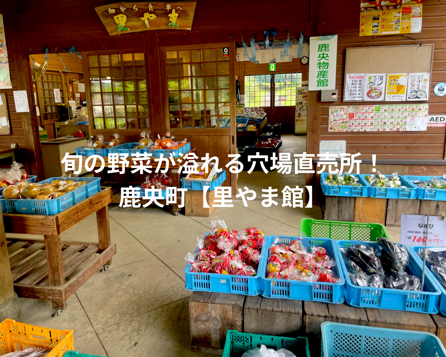 鹿央町【里やま館】旬のお野菜が溢れる穴場直売所