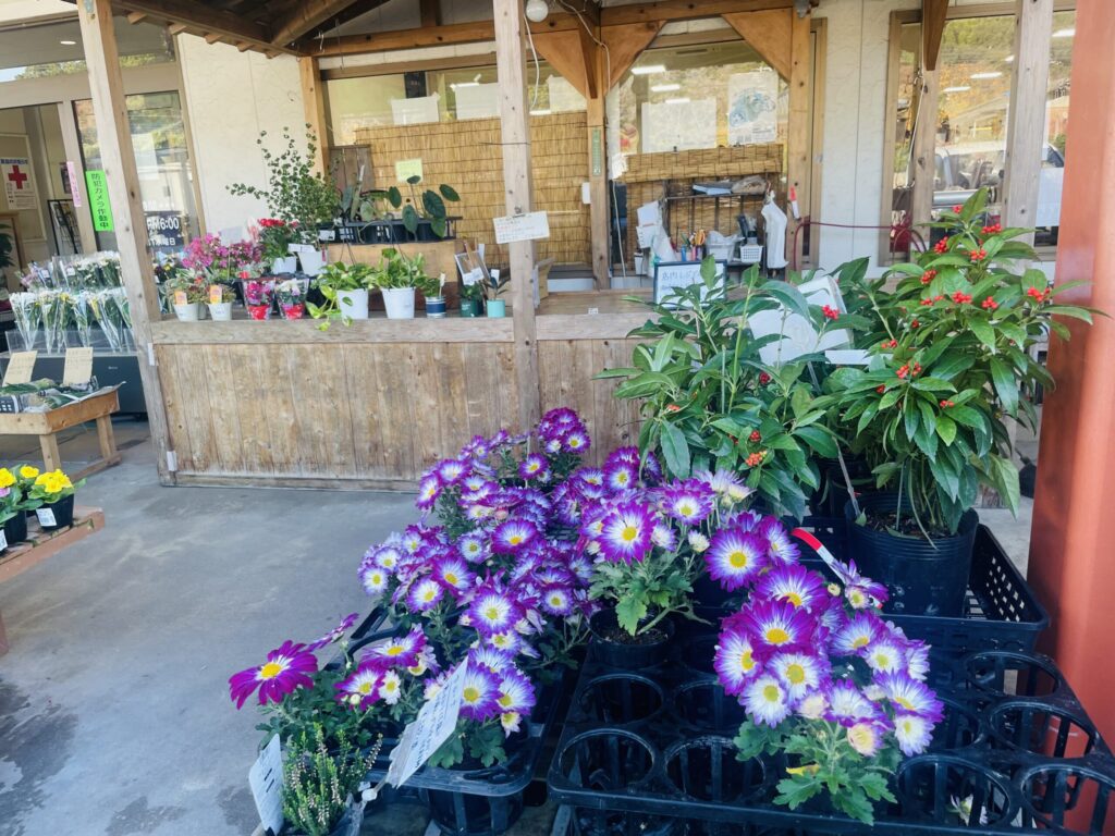 人気直売所【いきいき村】