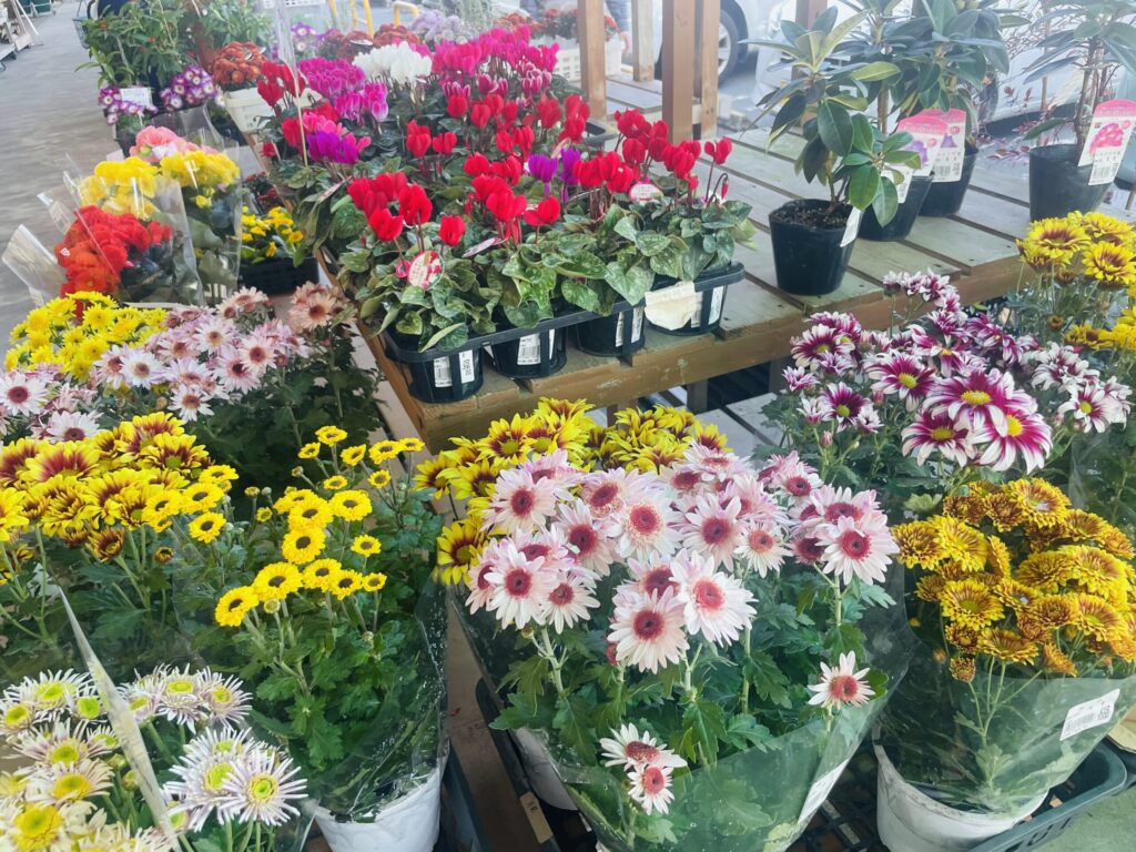 人気直売所【いきいき村】