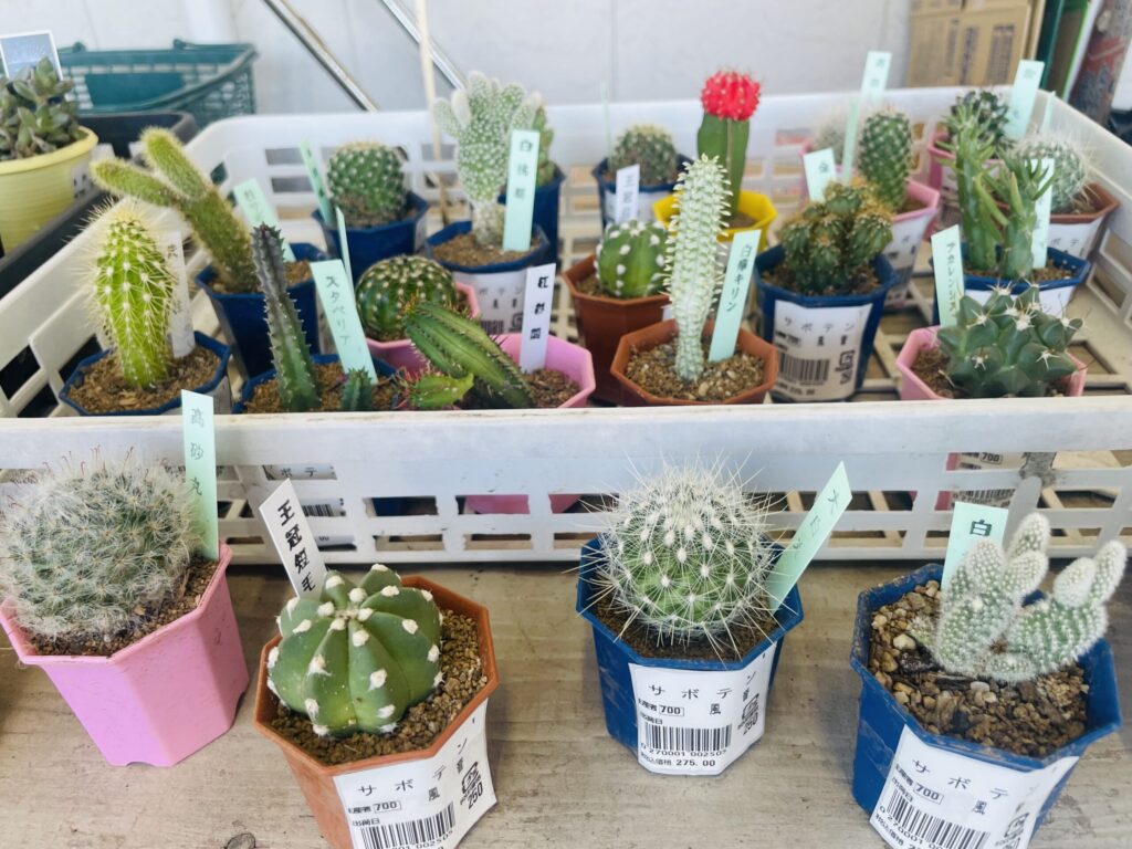 人気直売所【いきいき村】