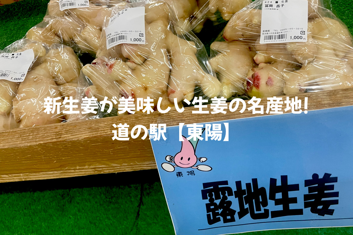 八代【道の駅 東陽】　新生姜が美味しい生姜の名産地！遊具や家族湯もありファミリーおススメの道の駅
