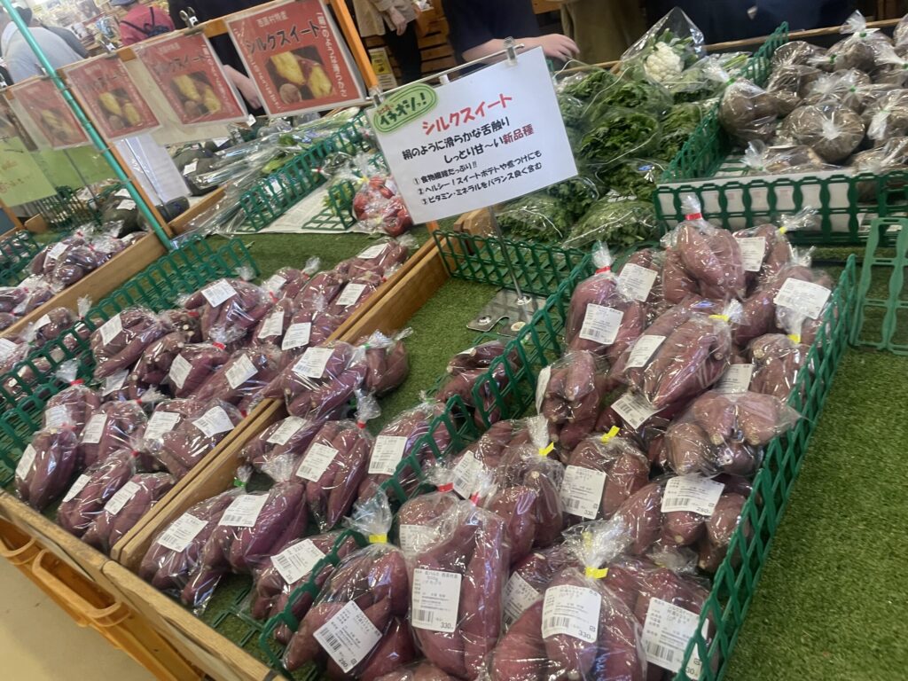 俵山交流館 萌えの里　サツマイモ