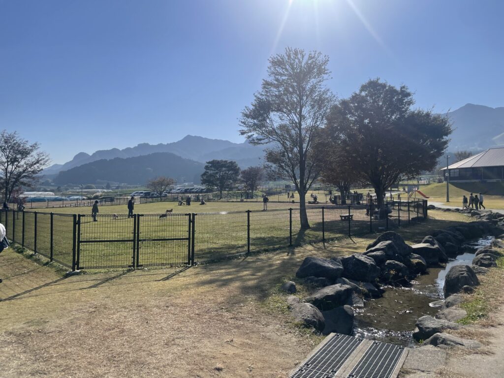 道の駅 あそ望の郷くぎの　ドッグラン