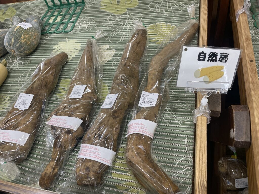 あそ望の郷くぎの　自然薯