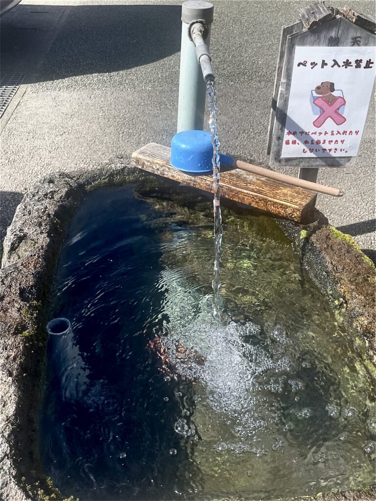 あそ望の郷くぎの　湧水