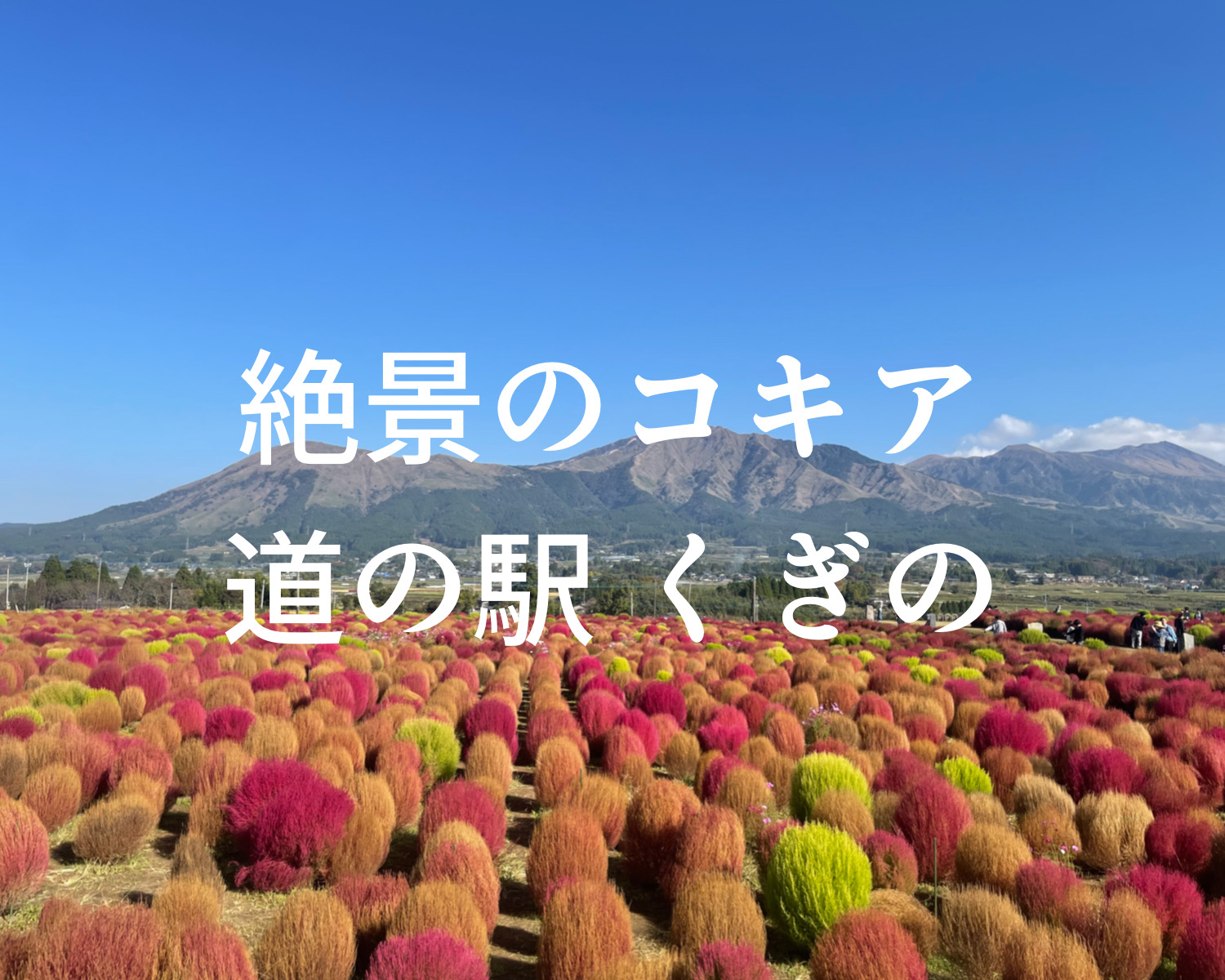 南阿蘇【道の駅 あそ望の郷くぎの】　広大な面積に広がる絶景のロケーション！一度は訪れるべき道の駅