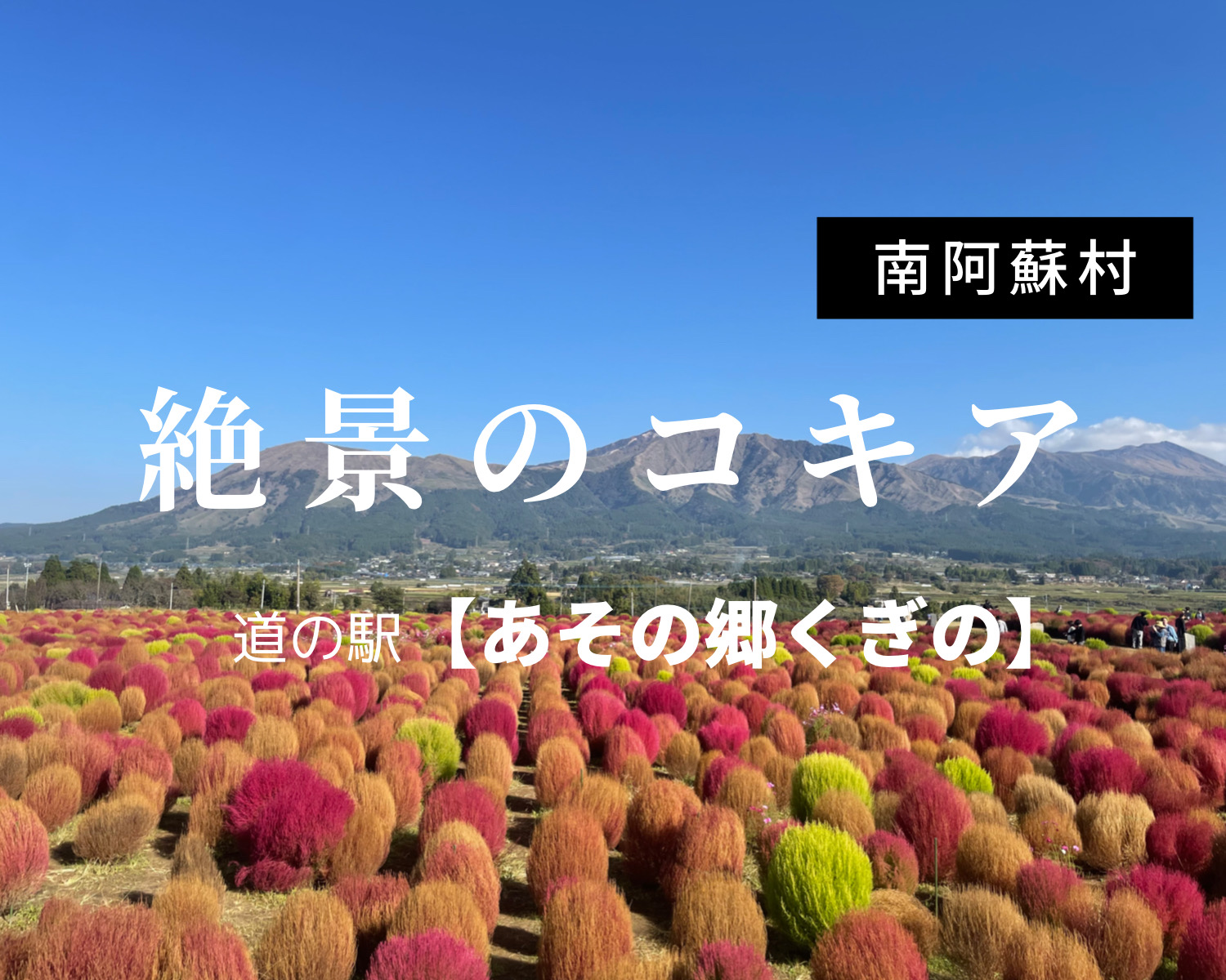 南阿蘇【道の駅 あそ望の郷くぎの】　広大な面積に広がる絶景のロケーション！一度は訪れるべき道の駅