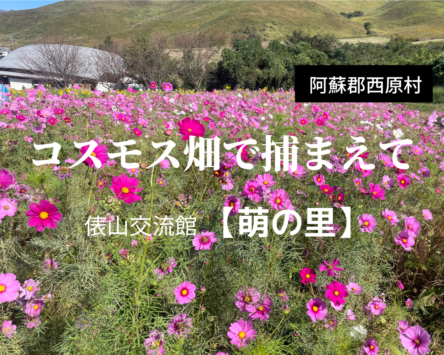 西原村【萌の里】ファミリーやカップルにおススメの直売所♪