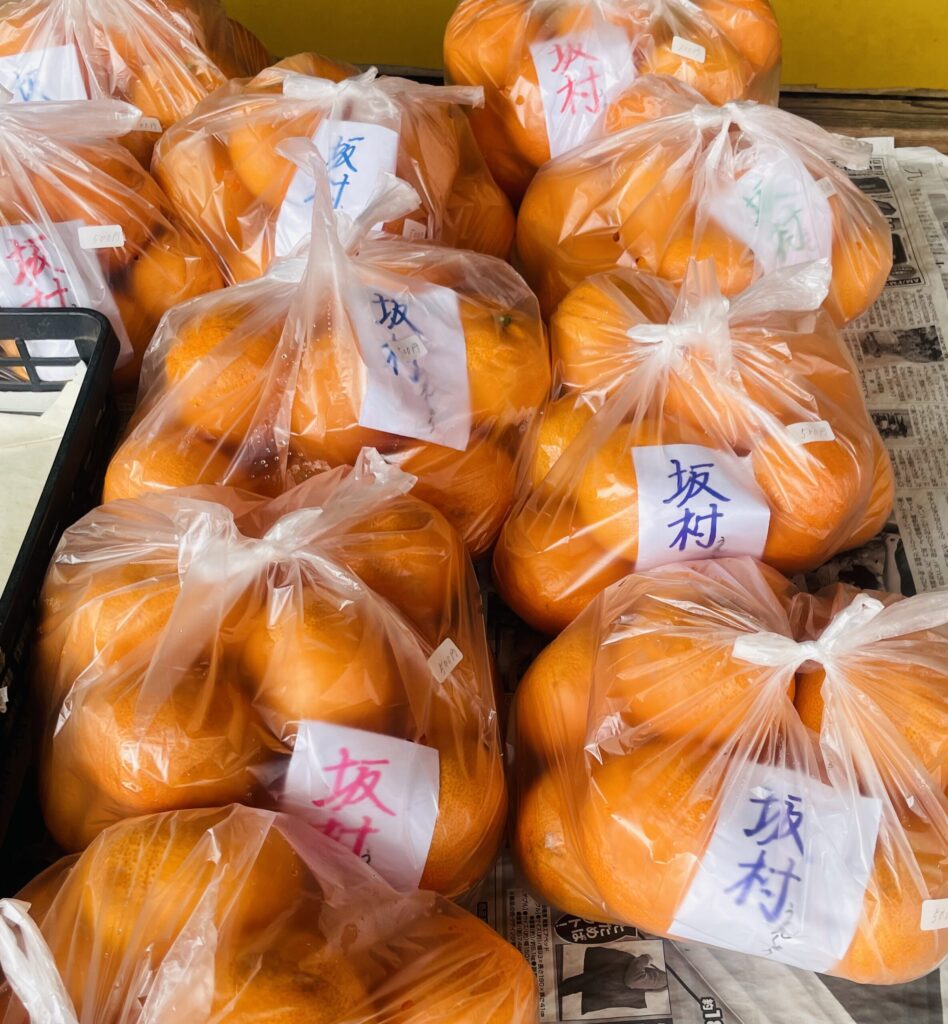 田原坂万十店　中生ミカン