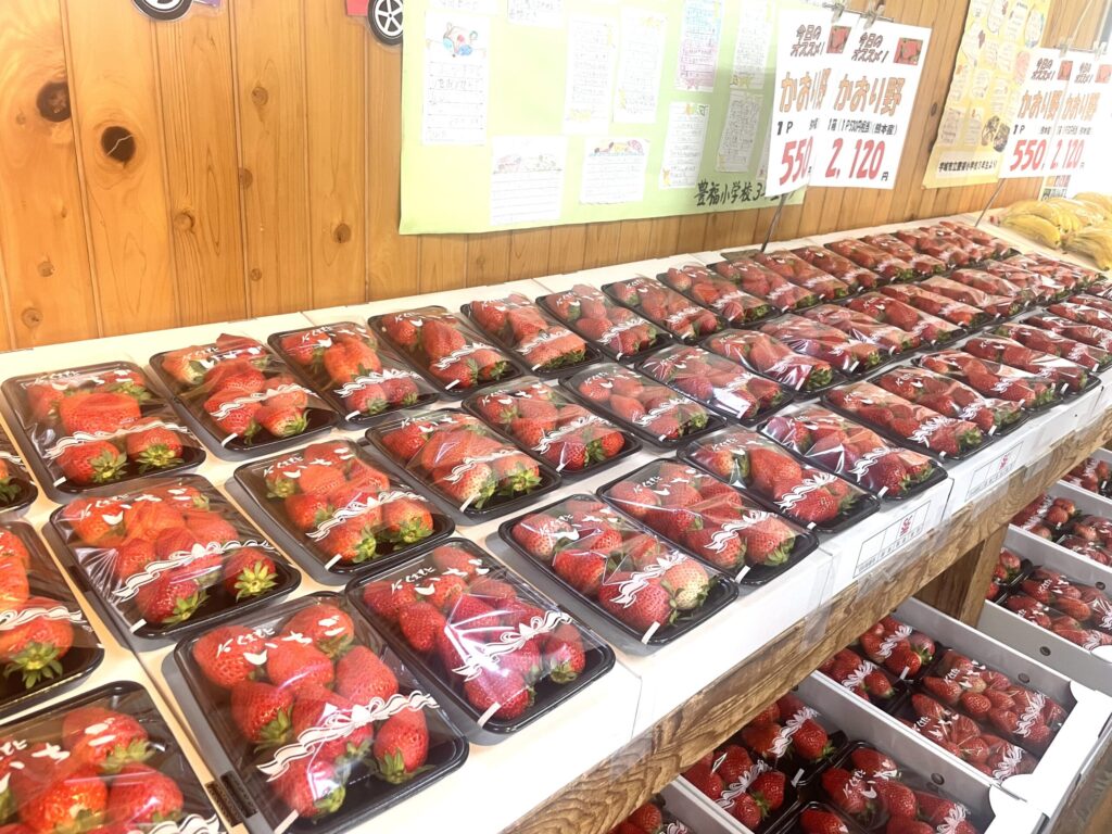 アグリパーク豊野　イチゴ
