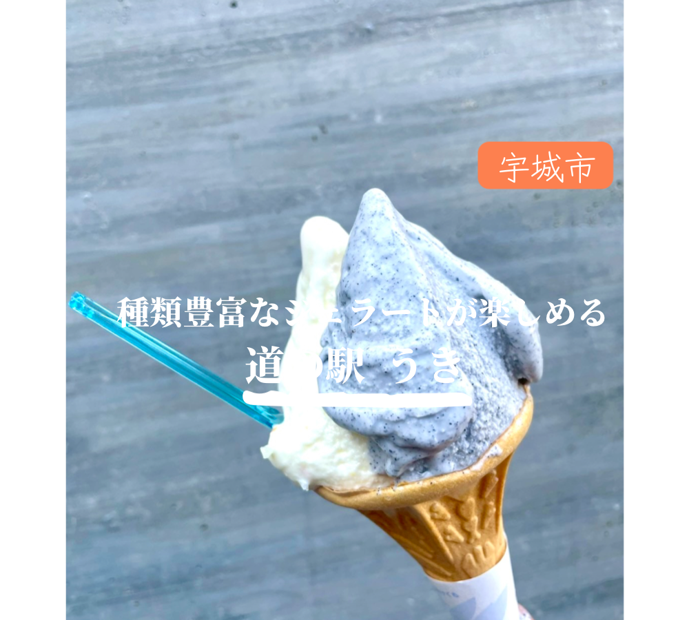宇城市【道の駅うき】サンサンうきっ子宇城彩館　旬の果物を使った絶品ジェラートが楽しめる道の駅。