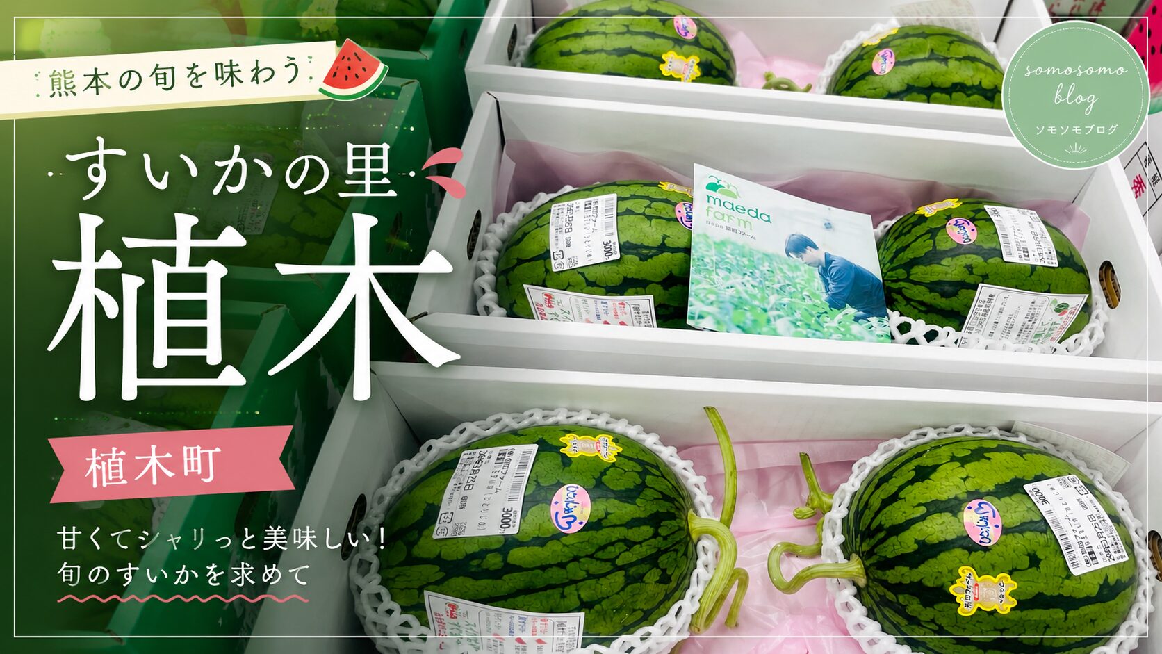 植木町【すいかの里 植木】 様々な種類のスイカが揃う道の駅🍉実はお酒の種類も半端なかった!